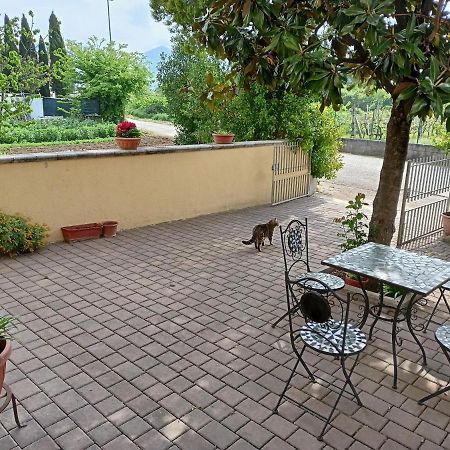 Da Angela - Camere Con Bagno Privato A Foligno Vicino Al Centro Exteriör bild